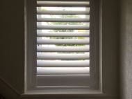 shutters81